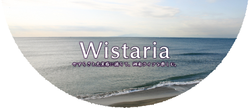 Wistaria02