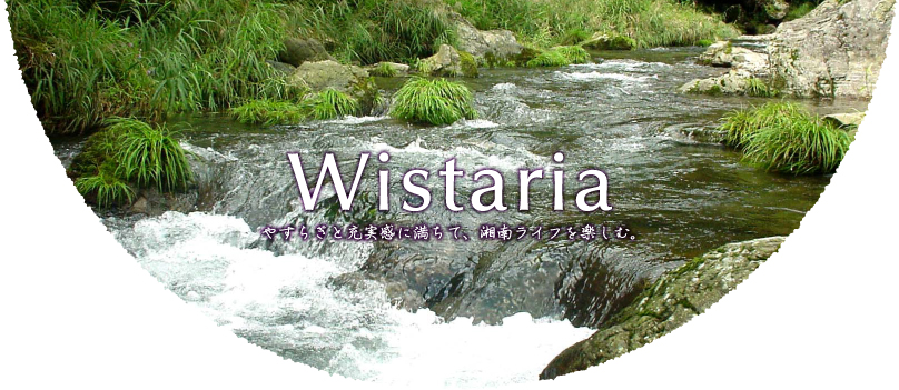 Wistaria05